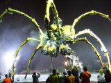 Spider rehearsal